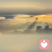 在乎你的人，你咳了一下，他以為你感冒了；
不在乎你的人，你病倒了他以為你在偷懶！配圖