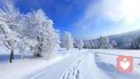 下雪了呀！
2024年的第一場雪！
去年的第一場雪！
你的身邊是誰？
他，還在么？配圖