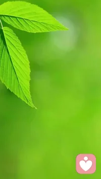 特別通知：
今天可能吃壞東西了，
一整天都在鬧肚子，
我可能要先睡了！
有事留言，通話等明天哈！
抱歉了家人們！配圖