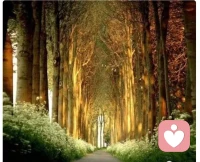 将自己重要的秘密保留在心底，是处士的潜规则。千万不要亲手为自己埋下一颗炸弹。配图