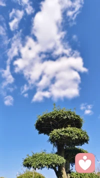 今天给朋友做了一个金钱能量提升的催眠，接近尾声时，他突然感觉困意来袭，想睡觉，这是为什么呢？

首先，这是非常好的现象，完全符合催眠后身体的自然反应，说明催眠在他身上起到了深度放松和能量调整的效果。
 
再从生理和心理上面剖析一下原因：

通过催眠，负面情绪释放，身心会卸下负担，相当于让一直“紧绷”的神经系统松了劲；而金钱能量提升的过程，潜意识在接收新信息时也会消耗一定内在能量。两者叠加后，身体会自动进入“修复模式”，困意就是在提醒他需要通过睡眠来巩固这种调整后的状态，睡醒后能量感会更清晰、更稳定。配图