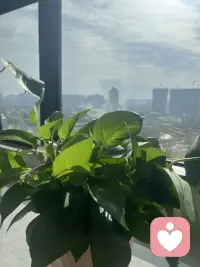 療愈原生家庭，成為自己，找回愛
1.放下父母對你的期待，放下父母過往的遺憾。
2.對父母鞠躬，感謝，放下父母的命運，扛起自己的命運，把屬于父母的還給父母。
3.帶著父母的尊重與愛，轉身，朝向自己的人生移動。
4.目光朝前看，朝自己的人生方向看，不要追溯過往，要輕裝簡行配圖