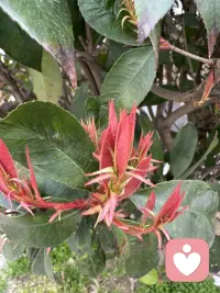 爱错不可怕，
可怕是一直委屈自己。
我听你，也陪你看清关系。
不想再委屈自己，来找我。配图