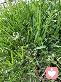 放下指责，少一点催促，才是治愈厌学与沉迷手机的开始。
青春期的迷茫、孤独、迷茫，藏在刷屏和逃避学业里，父母难懂，孩子难言。
作为倾听师，我耐心倾听孩子心声，化解情绪内耗，调和亲子矛盾，让理解代替争吵，让孩子愿意回归正轨，轻松前行~配图