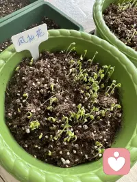 小时候没能说出口的委屈与不安，现在都可以慢慢倾诉。不用假装坚强，我会静静聆听，帮你驱散阴霾，重拾内心的温暖与力量。配图