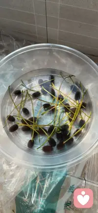 后来才懂，婚姻里最大的委屈，是连争吵都觉得多余。配图