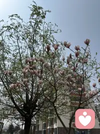 为什么总是不开心？也许不是生活太差，是你太苛责自己。允许情绪存在，允许自己普通，允许慢慢变好。有人听，就不算孤单。配图