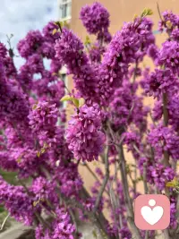 放过那个纠结的自己吧，错的人、遗憾的事，都不必再回头。往前走，才是对自己最好的成全。