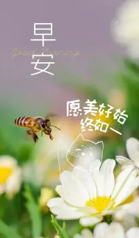 你永远都猜不到，生活会在哪个路口，突然就给你一个坎，也料不到，它会在哪个阶段，突然就给你一份爱，所以说，未来可期，无需慌张！早安！