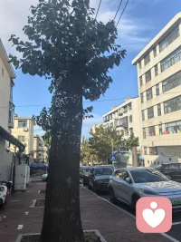 向下扎根，向上生長。感受到根脈的力量??配圖