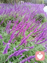 午后河邊的景色太美了，愜意配圖