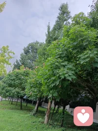 隨手一拍，都是歡喜配圖