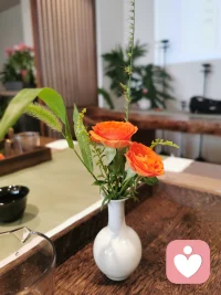 大自然的饋贈(zèng)，治愈系。配圖