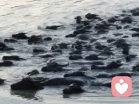 我碰到的人全是善解人意，非常理解且包容度很高的人，愛你??們配圖