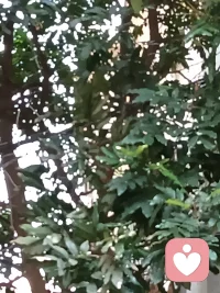 当自身能力不足以抗衡困境、内在能量低迷，便极易被琐事桎梏。困住我们的从来不是难题，而是固有的认知边界。持续学习精进，打破认知壁垒，认知引领选择，选择付诸行动，行动铸就最终结果☀