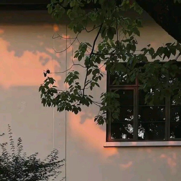 悅?cè)慌瘲?/></div>
    <div   id=