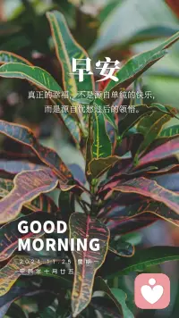 早安！冬日的清晨虽然寒冷，但新的一周已经开始，让我们用热情和活力去迎接每一个挑战。愿你的每一天都充满阳光，元气满满！新的一天，愿你工作顺利，万事如意，幸福吉祥。[爱心][玫瑰][强][拳头]配图