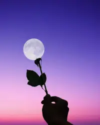 人這一生，除了發自內心的幸福，和盜不走的健康，沒有什么是值得炫耀的。配圖