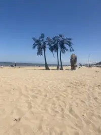 還想去看看海啊配圖