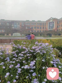 寵辱不驚,靜觀庭前花開(kāi)花落.
去留無(wú)意,笑看天上云卷云舒.
千帆過(guò)盡,皆不是我心所愛(ài),
三千弱水,哪一瓢知我配圖