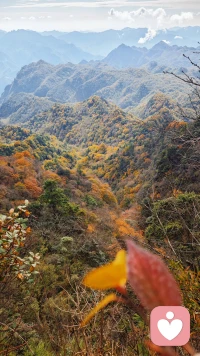 傾聽你的聲音，感受你的文字，說出你的故事，讓我來溫暖你……配圖