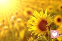 不知不覺已入冬，忙忙碌碌又一年，愿所有的困難都隨初雪而去，愿所有的努力在這個季節都有所收貨......配圖