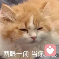 少喝雞湯，少吃鹽，做人別那么閑...配圖