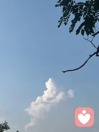 有時候一件事沒有對錯，越是鉆牛角尖越容易讓自己陷入內耗，不停的自我反思，最后惡性循環，讓自己拖在里面不可自拔，換個角度，視野就不同了，心境也會豁然開朗配圖