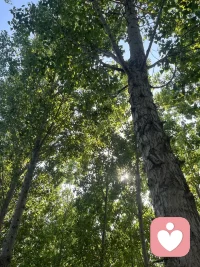 當你腦子里有各種各樣想法的時候，當你頭腦不停歇的時候，當你無法讓內心獲得平靜的時候，不妨找一個空氣清新，安靜的角落，戴上耳機??，閉上眼睛聽一段舒緩的輕音樂，當你坐下平靜下來后，會發現周圍是那么安靜，只聽得見鳥叫和蟲鳴，心靈得到了洗滌……人生總會遇到各種各樣的困難，不要給自己提前設檻，即使沒能成功，也不是自己不夠好，而是因為每個人都會有不擅長的事，加油，你是最棒的！配圖