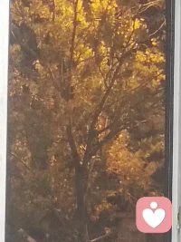 人們通常認為：當心理產生問題，就是周遭的環境才導致人的內心發生了變化，工作和生活節奏太快，導致忽略了內心的感受和心理變化…其實很多時候，工作只是心理問題的導火索，很多問題在孩童時期就已經存在了，只是很多小細節自己都沒有發現，由于生活和工作的快節奏，讓這些問題浮出水面。治愈自己是一個漫長的過程，這中間需要陪伴，傾訴，傾聽，信任等等，每一步都要走的勇敢且堅定！配圖