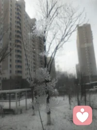 又是一年冬天，去年冬天的窗花和今年的有什么樣的變化，去年的人在今年又會有什么樣的變化呢配圖