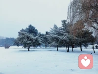 2024初冬北國的第一場雪，愿皚皚白雪遮蓋住你內心的陰霾，愿紛繁的思緒,惆悵的哀傷隨雪花慢慢飄散，傾暖為您傾聽，這里不是異常滋長的溫床，卻可能是給你的寒冬帶來溫暖的避風港。。。配圖