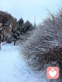 2024初冬北國的第一場雪，愿皚皚白雪遮蓋住你內心的陰霾，愿紛繁的思緒,惆悵的哀傷隨雪花慢慢飄散，傾暖為您傾聽，這里不是異常滋長的溫床，卻可能是給你的寒冬帶來溫暖的避風港。。。配圖