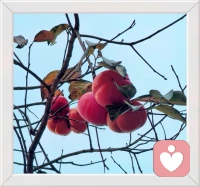 發(fā)現(xiàn)身邊的小美好
周末被叫到單位參加培訓(xùn)是件讓人很不爽的事，大家紛紛吐槽。中午培訓(xùn)結(jié)束一位同事的隨手拍讓這份不爽隨風(fēng)消散。
有些事情不能改變就調(diào)整自己的心態(tài)，不要讓它一直影響著你。
你會發(fā)現(xiàn)，身邊隨處都有的小美好，哪怕是幾片落葉，一簇雜草中的小花......配圖