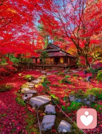 千萬不要放棄

人這一生不過就是來世間走一遭，感受一下世間的顛沛流離，沒有誰的人生是能夠一帆風順的。

在經歷苦難的時候，千萬不要放棄，要努力集聚力量，哪怕是從裂縫中透出的光，也要牢牢抓緊，然后生出向死而生的勇氣。

不管這世界多么糟糕，請你務必一而再再而三三而不竭，千次萬次，毫不猶豫地救自己于這世間水火間。配圖