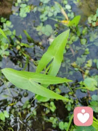 在任何關(guān)系里，感受都很重要。
尤其是你不確定是對(duì)還是錯(cuò)的時(shí)候，一定要尊重自己的感受。哪怕別人覺得沒什么，并不意味著你也應(yīng)該如此，因?yàn)槊總€(gè)人的需求不一樣。
很多時(shí)候，我們真正在乎的也并不是對(duì)方為我們做什么，更在乎的是自己的感受被看見和尊重。配圖