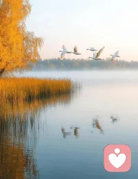 我對孩子的愛
我對孩子的愛無關孩子是否優秀，她優秀的話會讓我高興，但不會讓我愛的更多，不優秀也不會讓我對她愛的更少。配圖