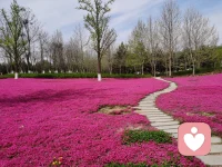 我沒有成功，也沒有失敗，我只是做了我該做的，

我沒有盡力，也沒有放棄，我只是做了我能做的，

越是堅強，越要學會在泥濘的路上爬行，

一切只是開始

最后，從逆境中尋找光明，從順境中尋找陰影。
                                           B——挪威（易卜生）配圖