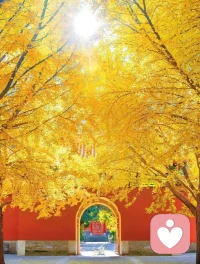 溝通的目的是為了讓對方理解，對方不一定要聽你的話，如果你說出來對方就要同意，那不是溝通，是控制。配圖