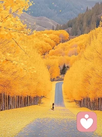 只要心里有光
我掉入井中，最深的絕望時(shí)，卻低頭看到了滿(mǎn)滿(mǎn)的星光。
生活總是給我們接二連三的困難，讓我們疲勞絕望，但是換個(gè)姿態(tài)來(lái)看待，你會(huì)發(fā)現(xiàn)，即使身處絕望，你的周?chē)€是會(huì)有最美的風(fēng)景。
也許我們終將在日復(fù)一日的生活里變得滄桑，但只要心里有光，即使寒夜里，也能看到方向。
萬(wàn)物皆有裂痕，只要心存希望，那便是光進(jìn)來(lái)的地方。配圖