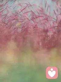 現在的你之所以不幸正式因為你自己親手選擇了“不幸”，而不是因為生來就不幸。

我們做的每一個選擇都是會結出選擇所帶來的果實，有酸、有甜、有苦、有辣，但它們都是短暫的。


既然選擇就不要后悔，因為你選擇了它/她/他，它/她/他也選擇了你。過往皆為經歷。


給你榮華富貴，錦衣玉食，只為讓你知曉世間百態


使你困窘潦倒，身處絕境，只為讓你通明人生冷暖配圖