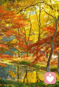 当我们经历情绪痛苦时，我们的想法会变得僵化、歪曲，判断会变得泛化、绝对，关于自己和世界的基本信念也会变得固化。在未受干扰的正常心理状态下，一个人可能会检查验证自己对于事件的印象或评价，以获得清楚准确的信息。当情绪沮丧时，他通常会歪曲接收到的信息，在思考中加入消极的偏见。
歪曲的想法是所有心理困扰的根源，这些歪曲通常源自一些更深层的不适应的观念，在遇到情绪困扰时，这些观念被激活。