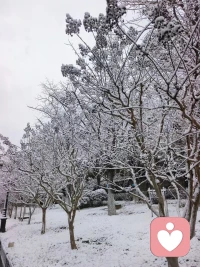 为什么有的人很难建立亲密关系

人和人之间靠近常常是通过暴露脆弱和痛苦实现的，但如果一个人总是展示自己很强的一面，总是和他人处于竞争性的关系中，他人自然无法与他建立亲密关系。