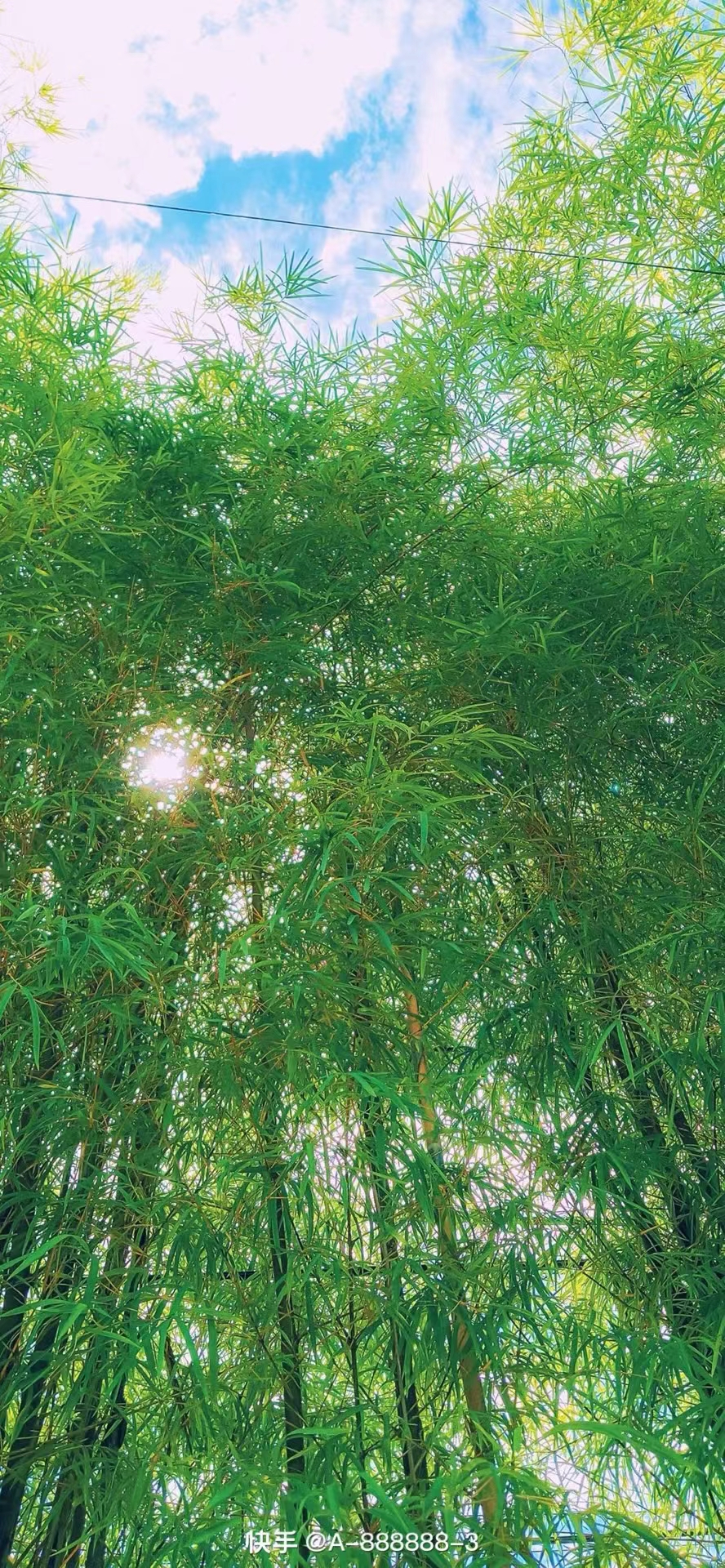 下一頁(yè)?的回答圖片