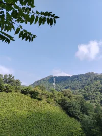 現(xiàn)實(shí)中，每個(gè)人都是獨(dú)立存在的，兩性關(guān)系亦是如此。最終讓彼此分離的就是無(wú)法調(diào)和的持續(xù)存在的矛盾與沖突，是兩個(gè)成年人在情感需求上認(rèn)知，思想上行為方式上無(wú)法消滅的差異，也就是生活中常說(shuō)的“三觀不合”配圖