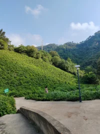 現(xiàn)實(shí)中，每個(gè)人都是獨(dú)立存在的，兩性關(guān)系亦是如此。最終讓彼此分離的就是無(wú)法調(diào)和的持續(xù)存在的矛盾與沖突，是兩個(gè)成年人在情感需求上認(rèn)知，思想上行為方式上無(wú)法消滅的差異，也就是生活中常說(shuō)的“三觀不合”配圖