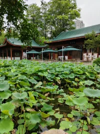 如果，你曾站在陽光下歌頌清晨，那么也請你在大海邊擁抱夜晚。生命的歷程中，每一次遇見，每一個離別，一點一滴都是生命里真實的存在。去面對它，接納它，并把它轉化為生命成長的一種力量！配圖