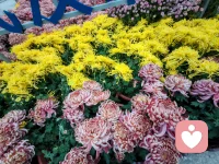 請相信，你內(nèi)心的力量比你想象的要強(qiáng)大得多。只要你有信心和勇氣去發(fā)掘。早安！配圖