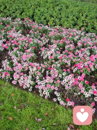 一個人只要想法愿意改變，事情就有轉機，改變的意念會愈強，勝算就愈大，成功的機會，永遠留給擁抱變化渴望改變的人。配圖