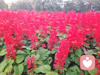 情緒管理的四個方法

?情緒管理可以通過以下四個方法來實現?：

1.?覺察和識別情緒?：首先要能夠察覺到自己正在經歷的情緒。可以通過觀察自己的身體反應、思維模式和行為變化來識別不同的情緒。例如，當感到心跳加速、手心出汗時，可能是因為緊張或焦慮。?

2.?接納情緒?：接納自己的情緒是情緒管理的關鍵。無論情緒是積極的還是消極的，都應該坦然接受。通過接納，可以避免情緒的積累和爆發，從而更好地管理情緒。

3.?表達情緒?：學會以適當的方式表達情緒是非常重要的。可以通過與他人交流、寫日記、繪畫等方式來釋放情緒。表達情緒有助于緩解壓力，改善心理健康。?

4.?宣泄情緒?：找到適合自己的方式來宣泄情緒，如運動、冥想、聽音樂等。適當的宣泄可以幫助清除負面情緒，促進身心健康。

通過這些方法，可以更好地管理情緒，提升心理健康和生活質量。配圖